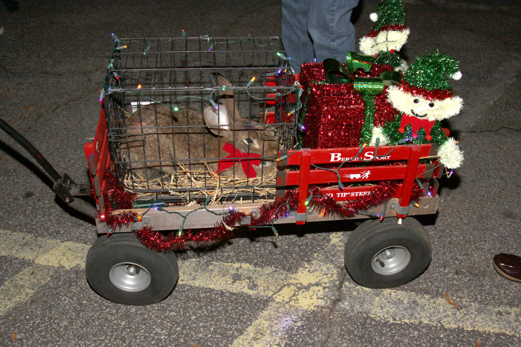 3rd place float
